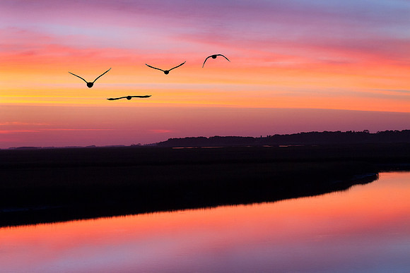 Kiawah River at dawn