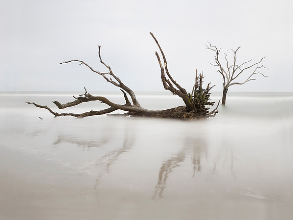 Bull Island